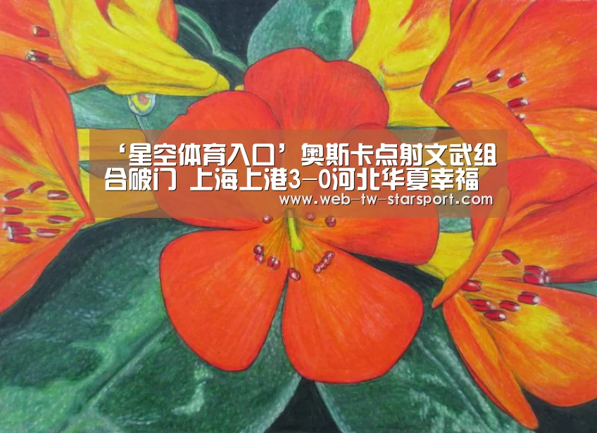 ‘星空体育入口’奥斯卡点射文武组合破门 上海上港3-0河北华夏幸福(图1) 星空体育网址