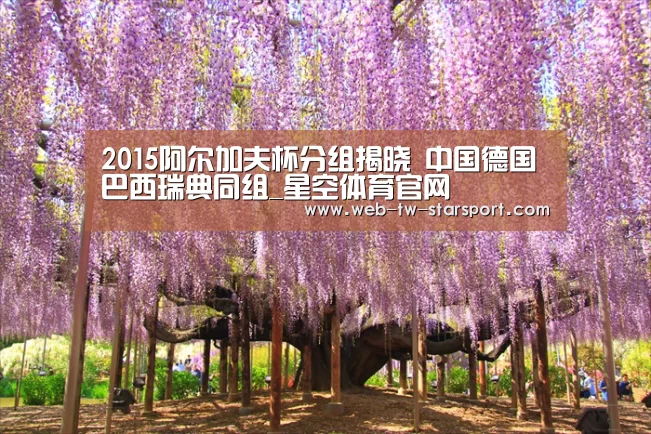 2015阿尔加夫杯分组揭晓 中国德国巴西瑞典同组_星空体育官网(图2) 星空体育入口